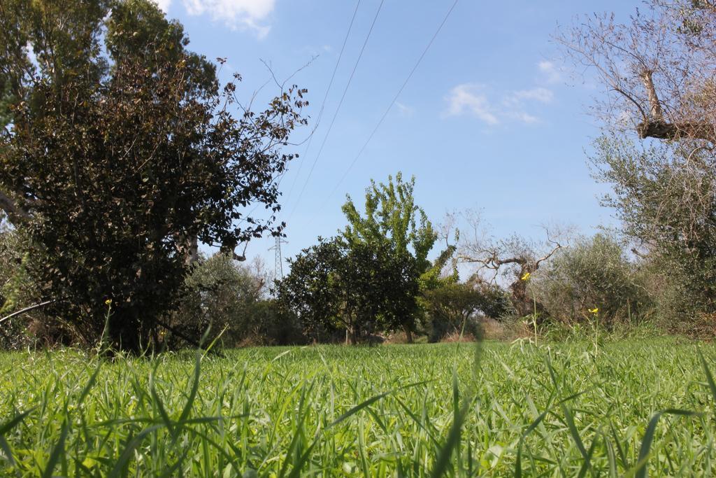 Villa Nanni Gallipoli Exterior foto